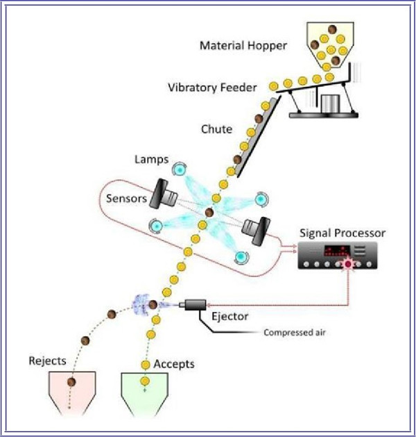 Awọ sorter Ṣiṣẹ sisan iwiregbe