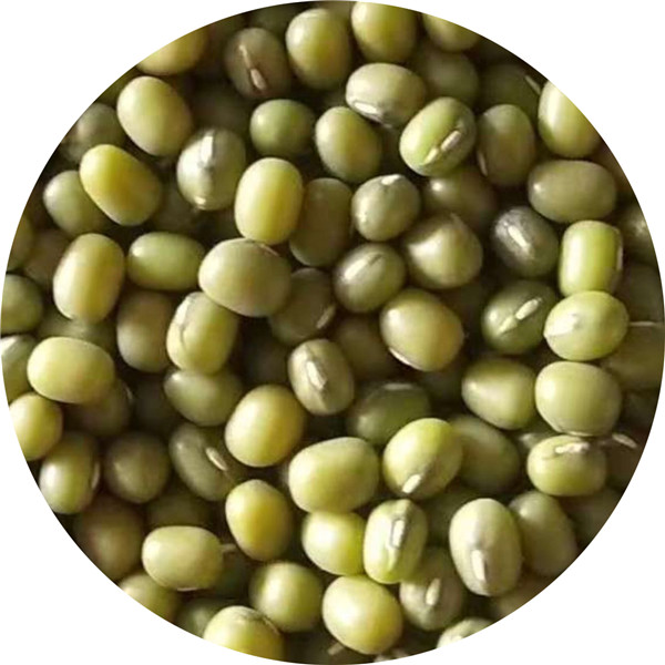Magandang mung beans
