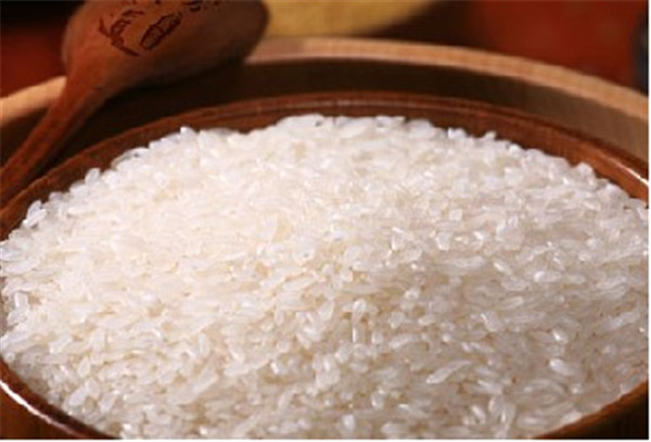 Rice