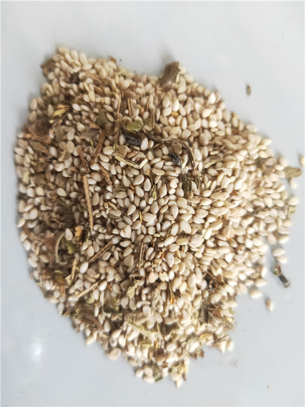 New 1 raw sesame