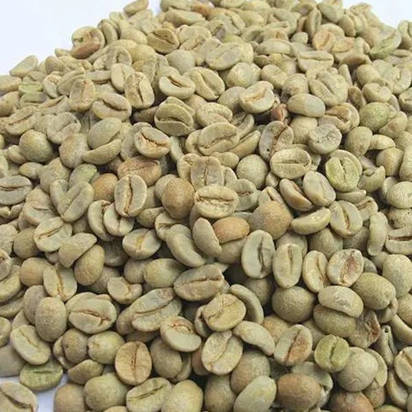 coffee bean