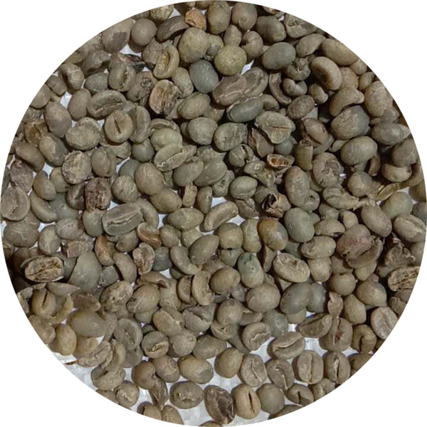 Raw coffee beans