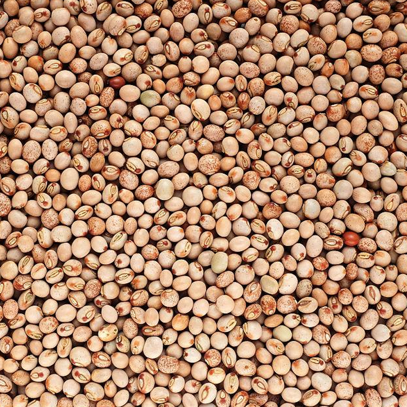 pigeon-peas