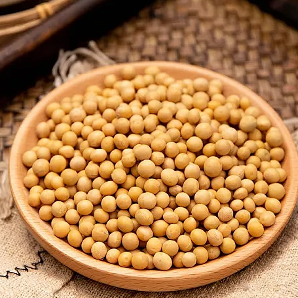 soya bean